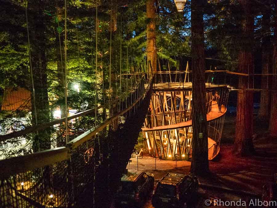 Redwood Treewalk is one of many things to do in Rotorua, New Zealand