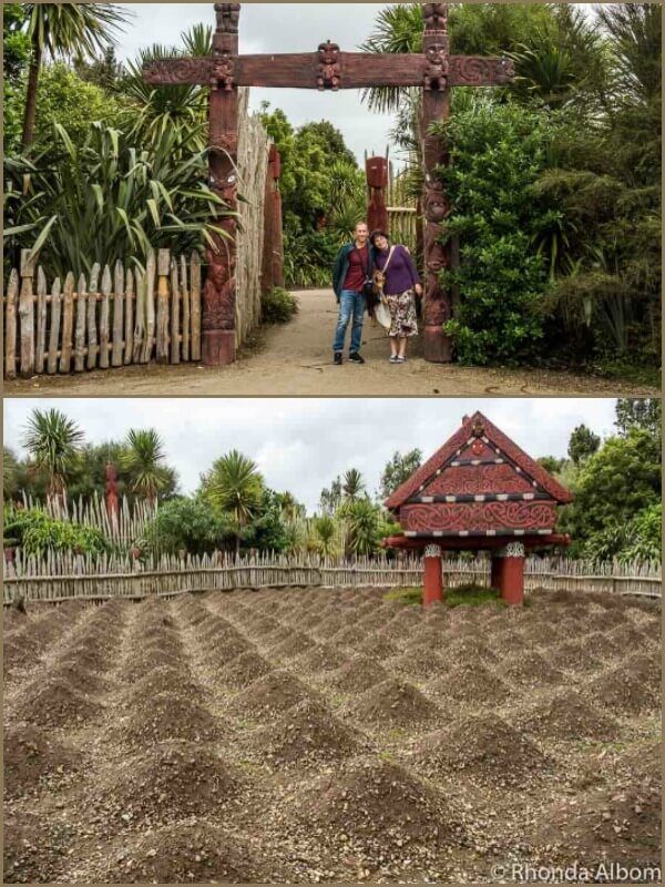 Te Parapara Garden, Hamilton NZ Gardens