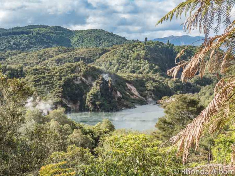 Waimangu Volcanic Valley: World's Youngest Geothermal System 5 Echo Crater and Frying Pan Lake at Waimangu Volcanic Valley, Rotorua New Zealand