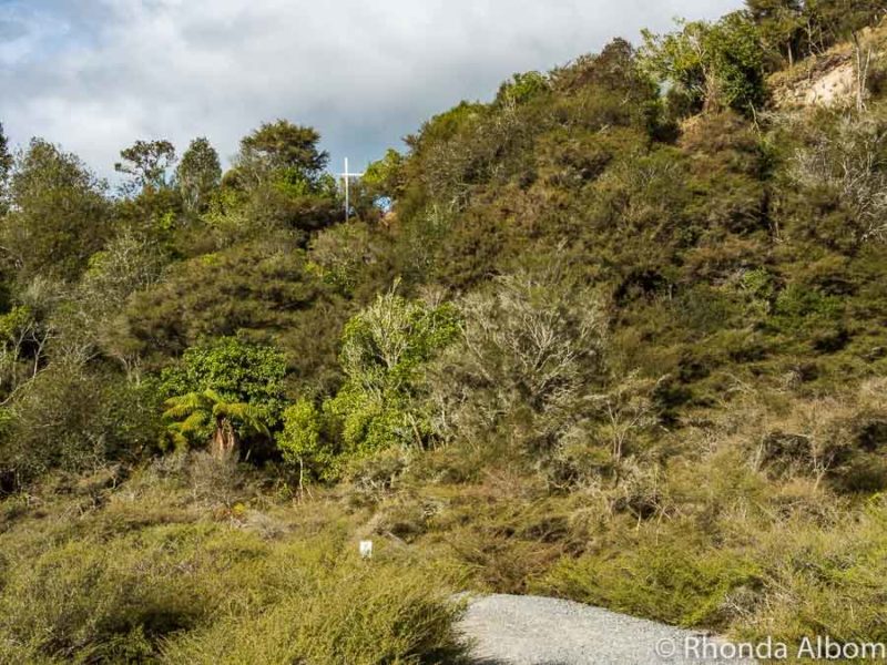 Waimangu Volcanic Valley: World's Youngest Geothermal System 10 White cross on the crater rim to mark where tourists died in 1903 at Waimangu valley in New Zealand
