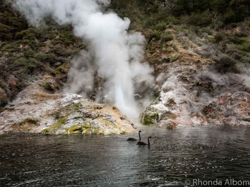 From boat at Waimangu Volcanic Valley, Rotorua New Zealand