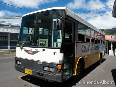 There are two buses on Rarotonga, one runs clockwise, the other anit-clockwise.