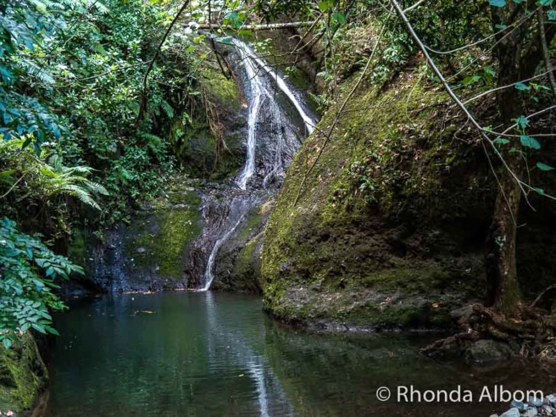 Papuavai Rere Waterfall in the Cook Islands