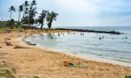 Kauai Excursions: Highlights of Kauai, Hawaii in a Day