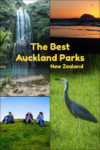 Urban parks can be found throughout Auckland New Zealand. From hiking to waterfalls, each one offers something special.