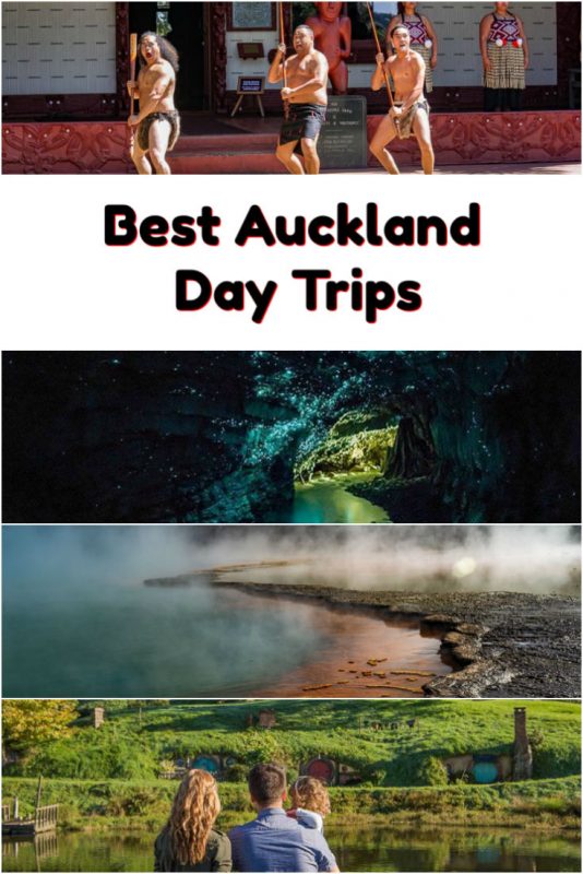 day trip ideas from auckland