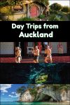 This collection of day trips from Auckland New Zealand will take you to Hobbit holes, geysers, a hot water beach, glowworm caves and so much more. It encompasses the best of Auckland day trip options.