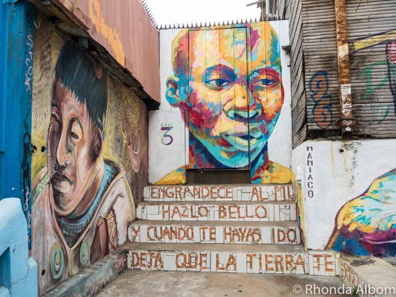 Valparaiso Street Art: Examples of Vibrant Expression in Chile 21 Street art Valparaiso Chile