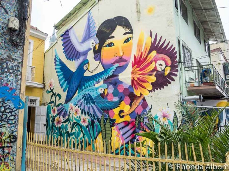 Valparaiso Street Art: Examples of Vibrant Expression in Chile 14 A mural on the side of a house in Valparaiso Chile