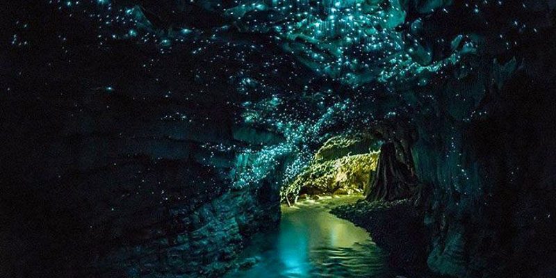 Waitomo Glowworm Caves, New Zealand