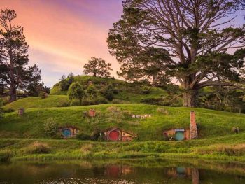 photo credit-Hobbiton Movie Set