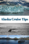 Cruising in Alaska is a once in a lifetime experience filled with rugged wilderness, glaciers, wildlife, stunning colors and so much more. Here you will find a few tips to make your cruise even better.