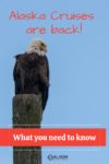 Bald eagle seen in Alaska