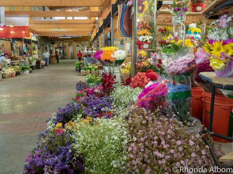 Alcalde Jose Sandoval Gomez Market in Castro on Chiloe Island