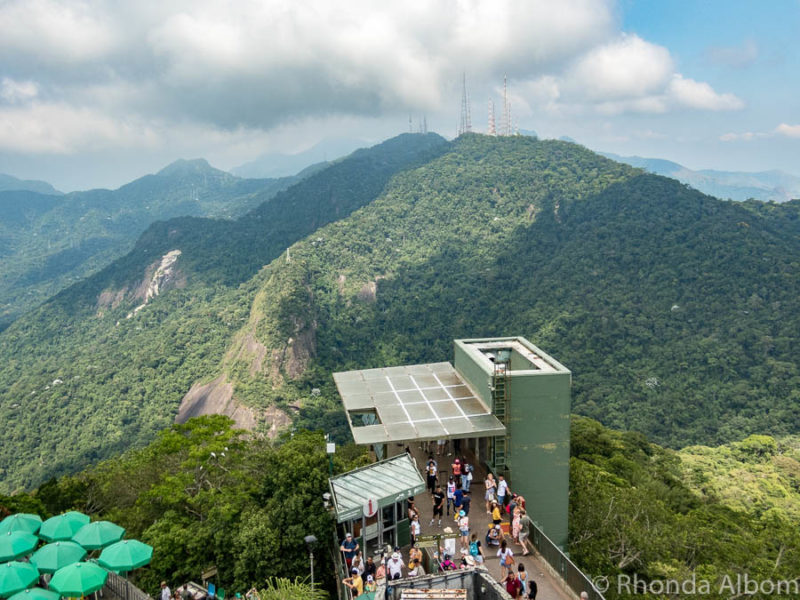 Visit Christ the Redeemer: How to get up Corcovado Mountain, Rio 11 The Tijuca Rainforest in Rio de Janiero, Brazil