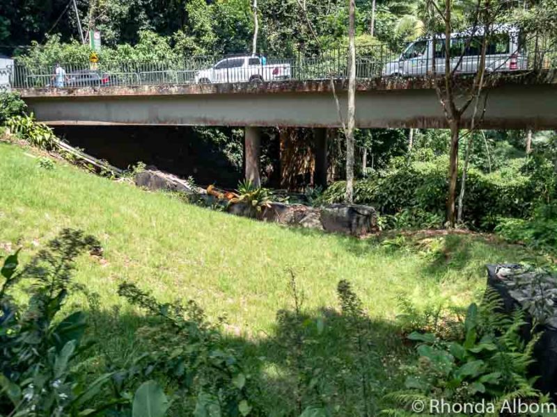 Visit Christ the Redeemer: How to get up Corcovado Mountain, Rio 12 Traffic heading up Corcovado in Brazil