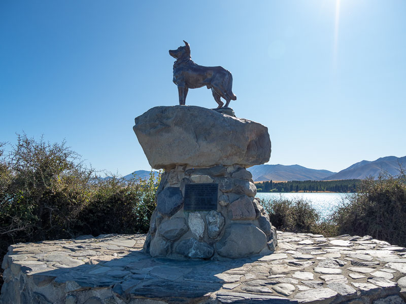 Sheepdog memorial at Lake Tekapo, South Island, New Zealand