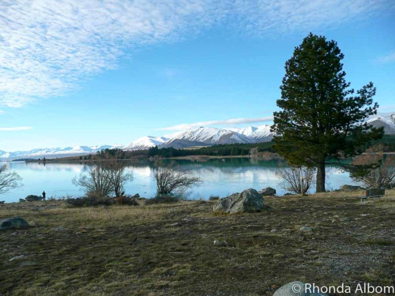 Things to Do in Lake Tekapo: Epic Days and Starry Nights 12 The shores of Lake Tekapo New Zealand