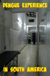 dengue experience
