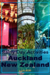 Indoor things to do in Auckland on a rainy day