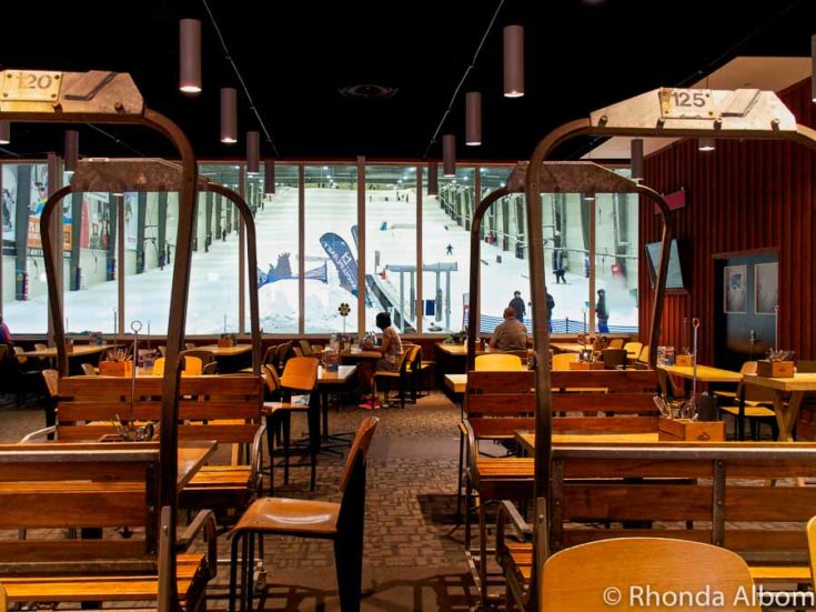 40 Rainy Day Indoor Activities Auckland New Zealand • Albom Adventures