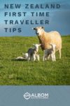 NZ First Time Traveller Tips Travel Offline sales