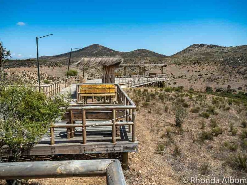 Valle del Encanto Chile: Petroglyphs in an Enchanted Valley 7 The only boardwalk at Valle del Encanto is near the entrance