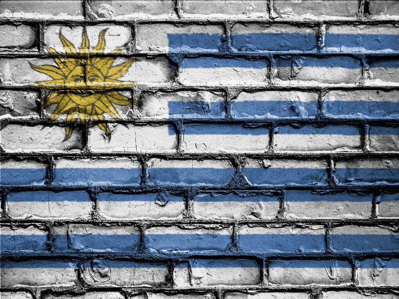 Uruguayan flag painted on a brick wall, one of many cool examples of street art of Uruguay.