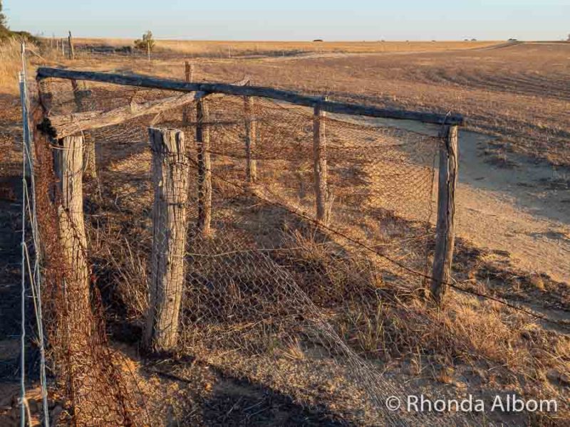 13 Stops on WA's Public Silo Trail: A Unique Outdoor Gallery 11 A section of the rabbit proof fence in Western Australia is one of many stops when on a Perth to Albany road trip.