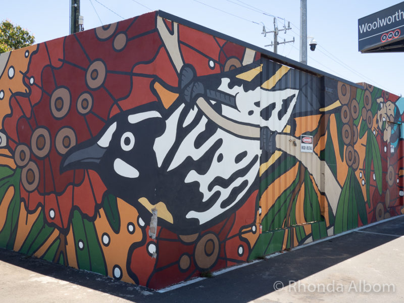 13 Stops on WA's Public Silo Trail: A Unique Outdoor Gallery 24 Murals in Katanning are part of the Public Silo Trail and our Perth to Albany road trip in Western Australia.