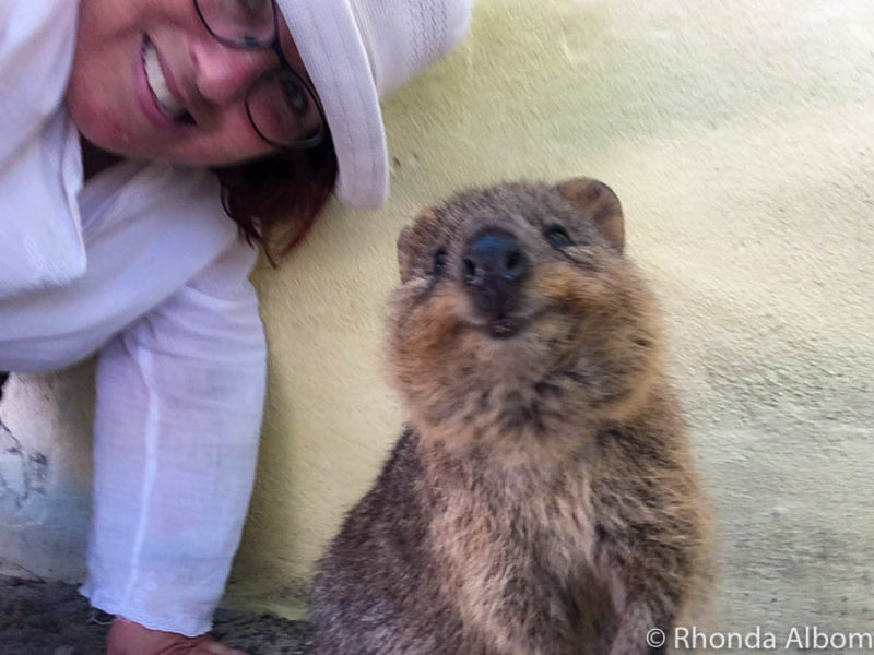 16 Fun Things to Do in Fremantle Australia 12 Quokka selfie on Rottnest Island
