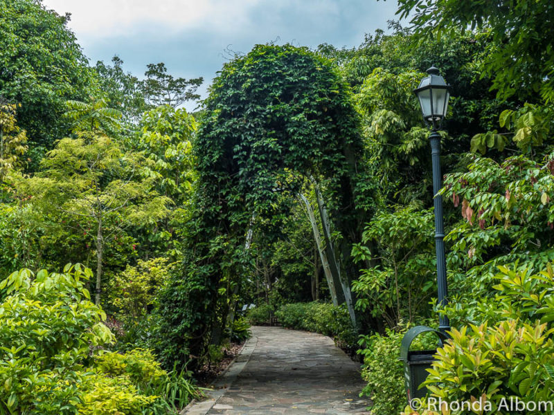24 Things to Do in Singapore for Couples: Discover the City 14 Walking through the Botanic Gardens is one of the romantic things to do in Singapore for couples