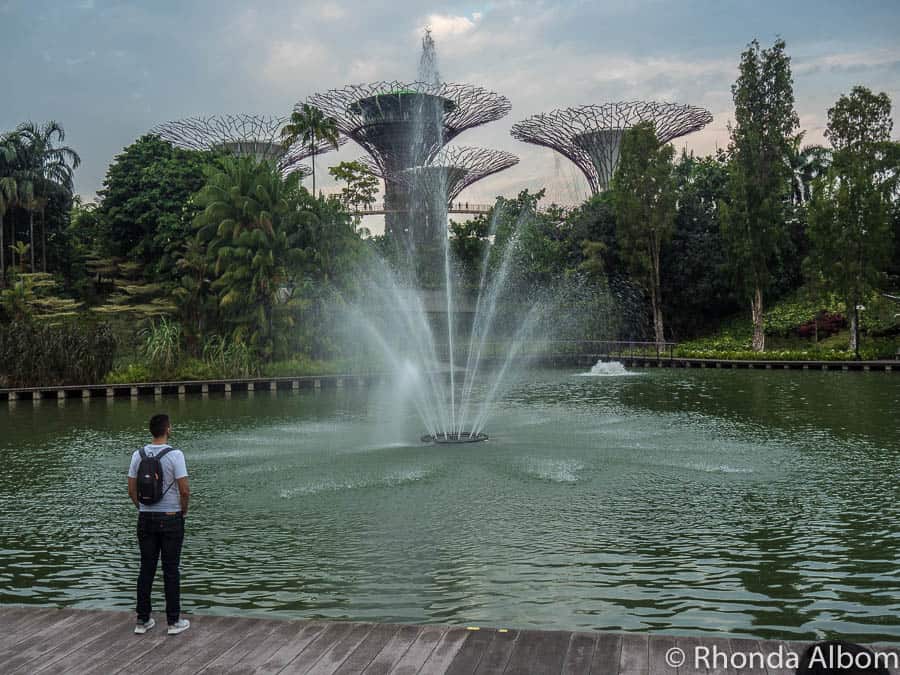 SuperTree Grove behind the fountain in Gardens by the Bay in Singapore