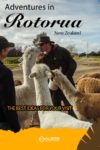 Agrodome farm visit with llamas in Rotorua New Zealand