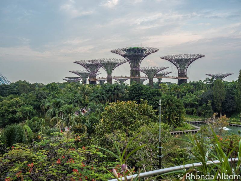 How to view Gardens by the Bay is one of many Singapore travel tips