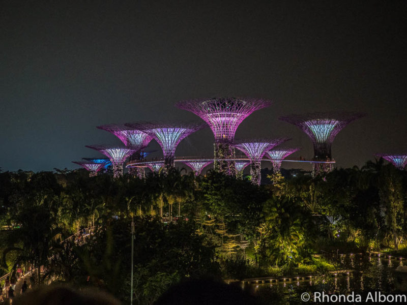 Supertrees lit up during the Garden Rhapsady sound and light show at Gardens by the Bay, a top Singapore tourist  destination
