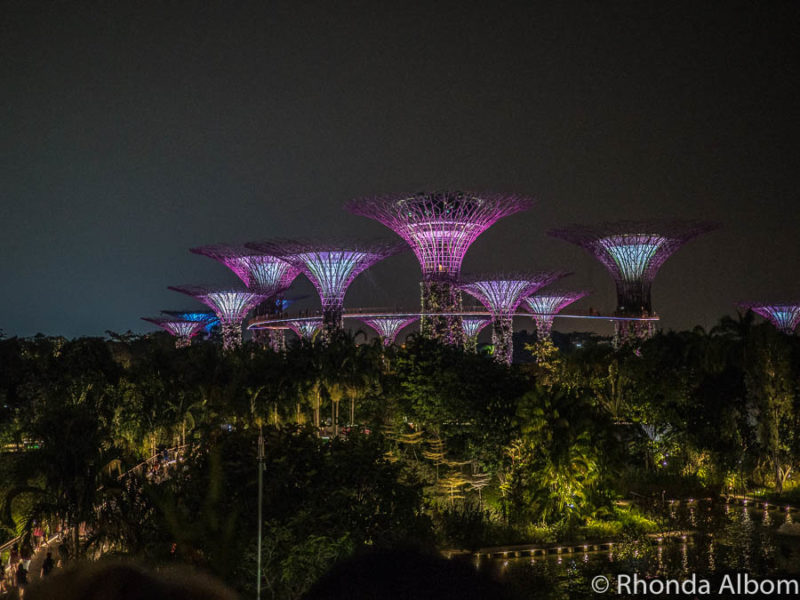 Singapore Travel Guide for First-Time Visitors 15 Supertrees lit up during the Garden Rhapsady sound and light show at Gardens by the Bay, a top Singapore tourist destination