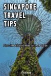 Upward view of one of the trees in the Supertree Grove at Gardens by the Bay in Singapore