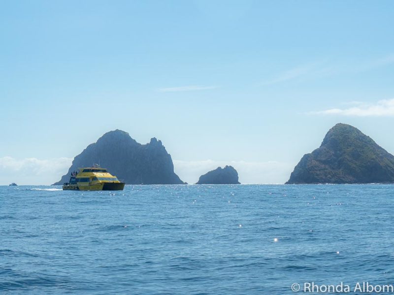 22 Exciting or Relaxing Things to Do in Bay of Islands NZ 14 Whale spotting from the Explore Ocean Adventure - one of the most exciting things to do in Bay of Islands, New Zealand