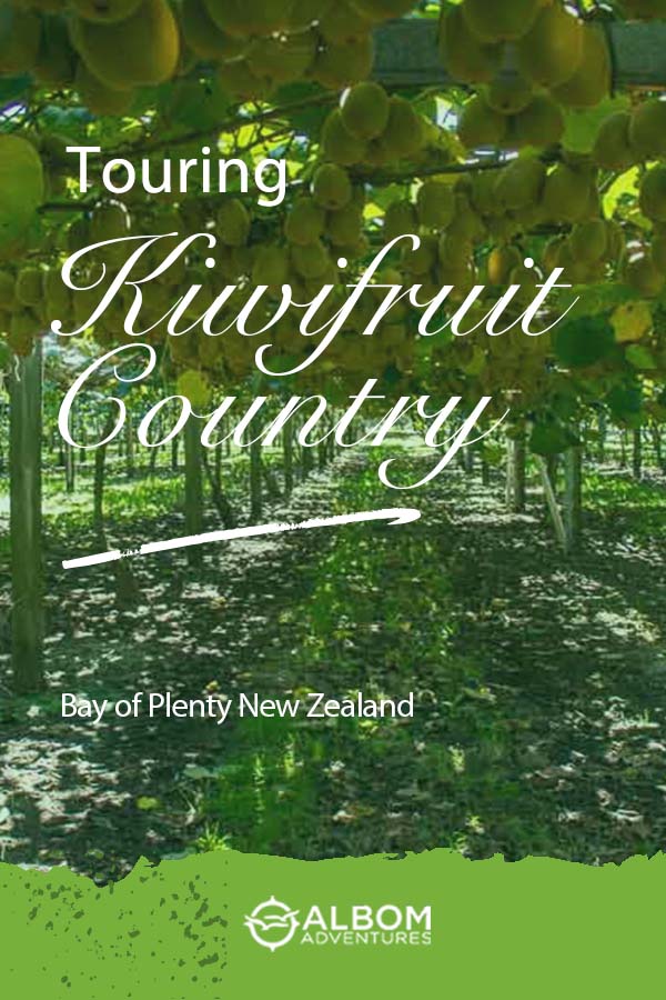 Kiwifruit Country Behind the Scenes at a New Zealand Kiwi Fruit Farm