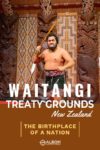 A Maori warrior performer during a cultural show at the Waitangi Treaty Grounds New Zealand