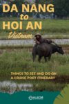 A man resting on a water buffalo near Hoi An Vietnam