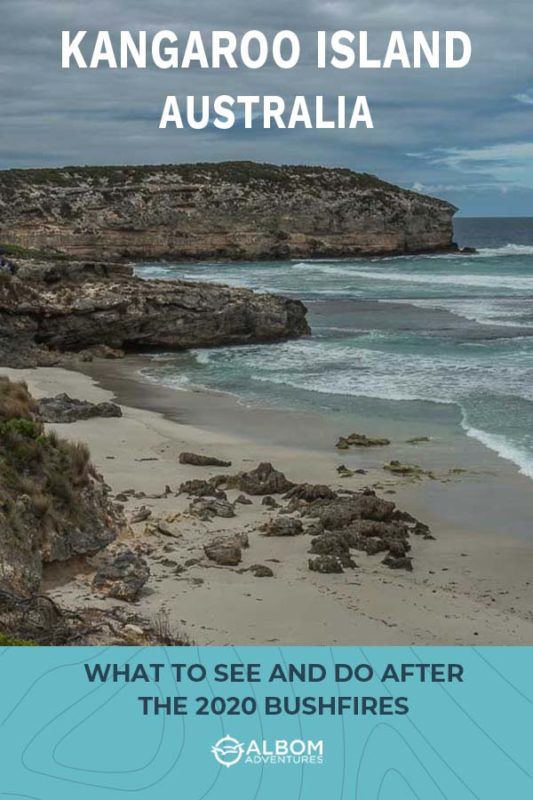 Things to Do in Kangaroo Island 30 Pennington Bay surf beach on Kangaroo Island Australia