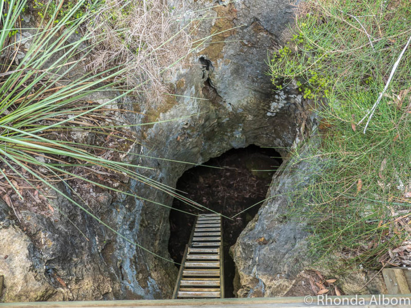Things to Do in Kangaroo Island 22 A ladder leading down into the original entrance to Kelly Hill Cave in Australia
