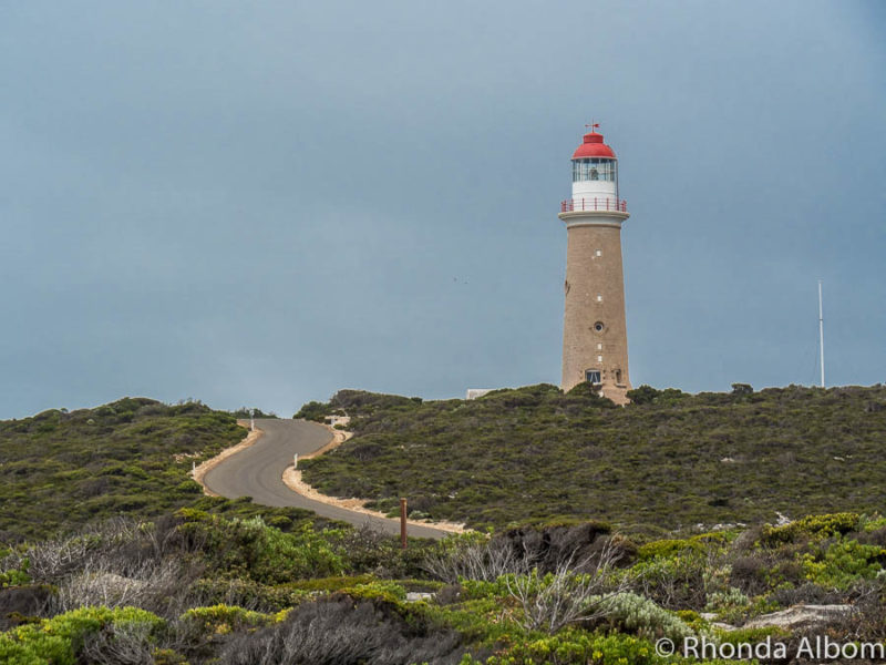 12 Adelaide Day Trips: Unveiling South Australia's Hidden Gems 3 Flinders Chase Park