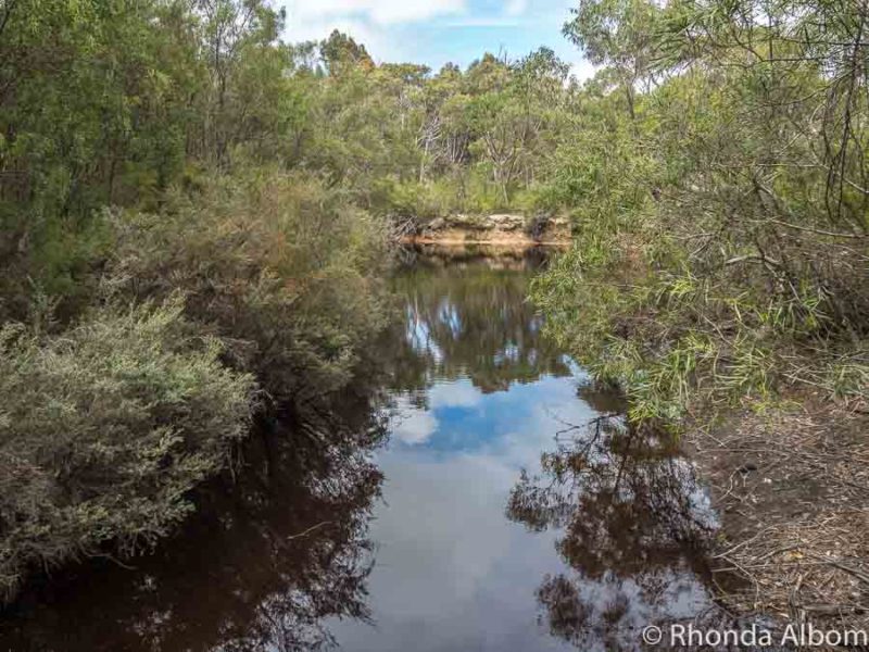 Things to Do in Kangaroo Island 17 Reflection of the trees and clouds in the Platypus waterhole, but no animals today.