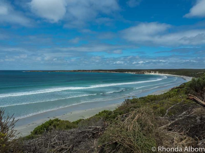 Things to Do in Kangaroo Island 9 Overlooking the white sand and turquoise waters of Vivonne Bay on Kangaroo Island, South Australia