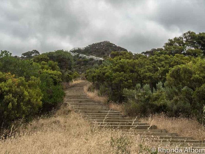 Things to Do in Kangaroo Island 21 The start of 500 steps leading to the top of Prospect Hill on Kangaroo Island South Australia