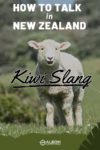 A sheep in the field with its mouth open