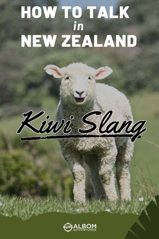 Kiwi Slang: Funny New Zealand Sayings - Visitors Beware! 10 A sheep in the field with its mouth open